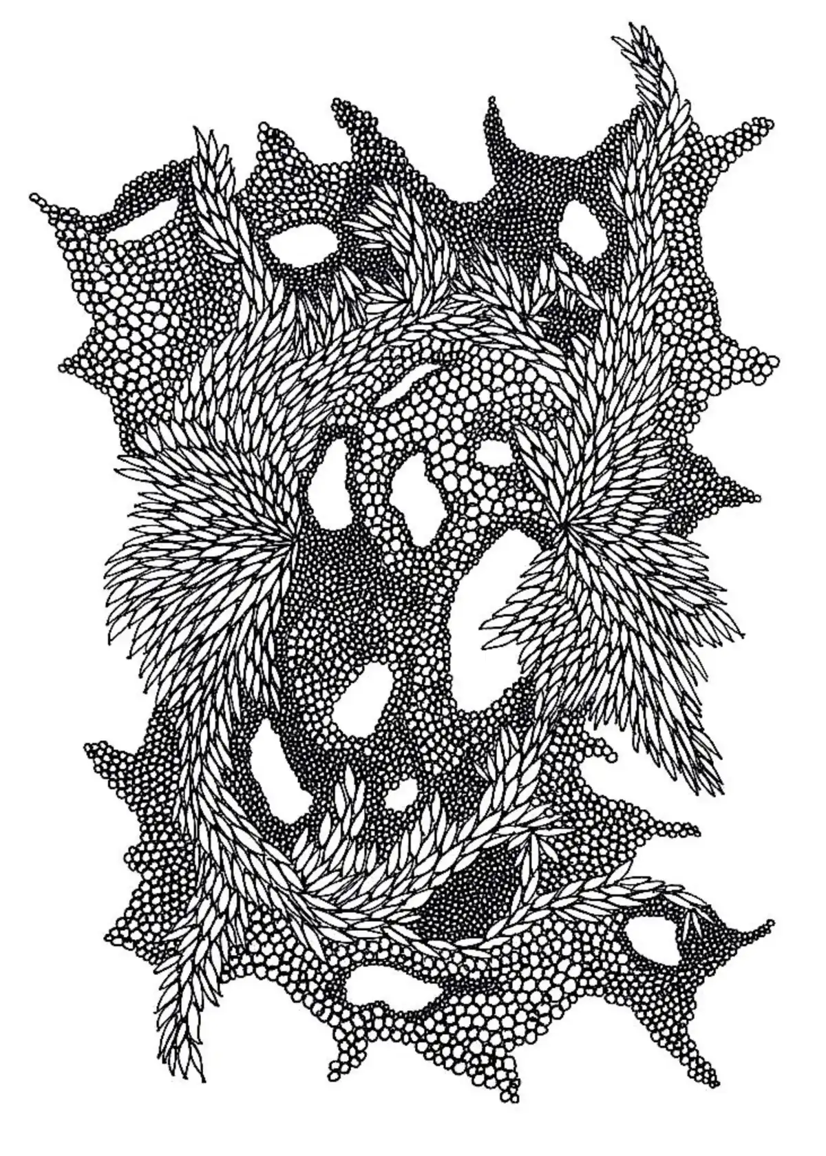 Drawing by Paulina Rizzo.