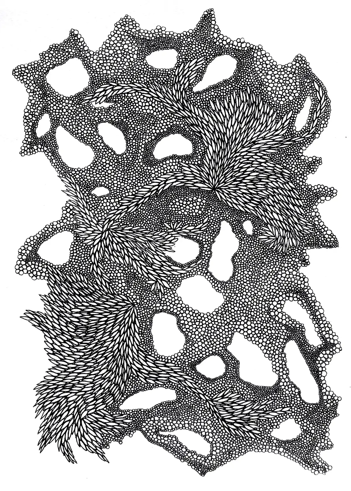 Drawing by Paulina Rizzo.