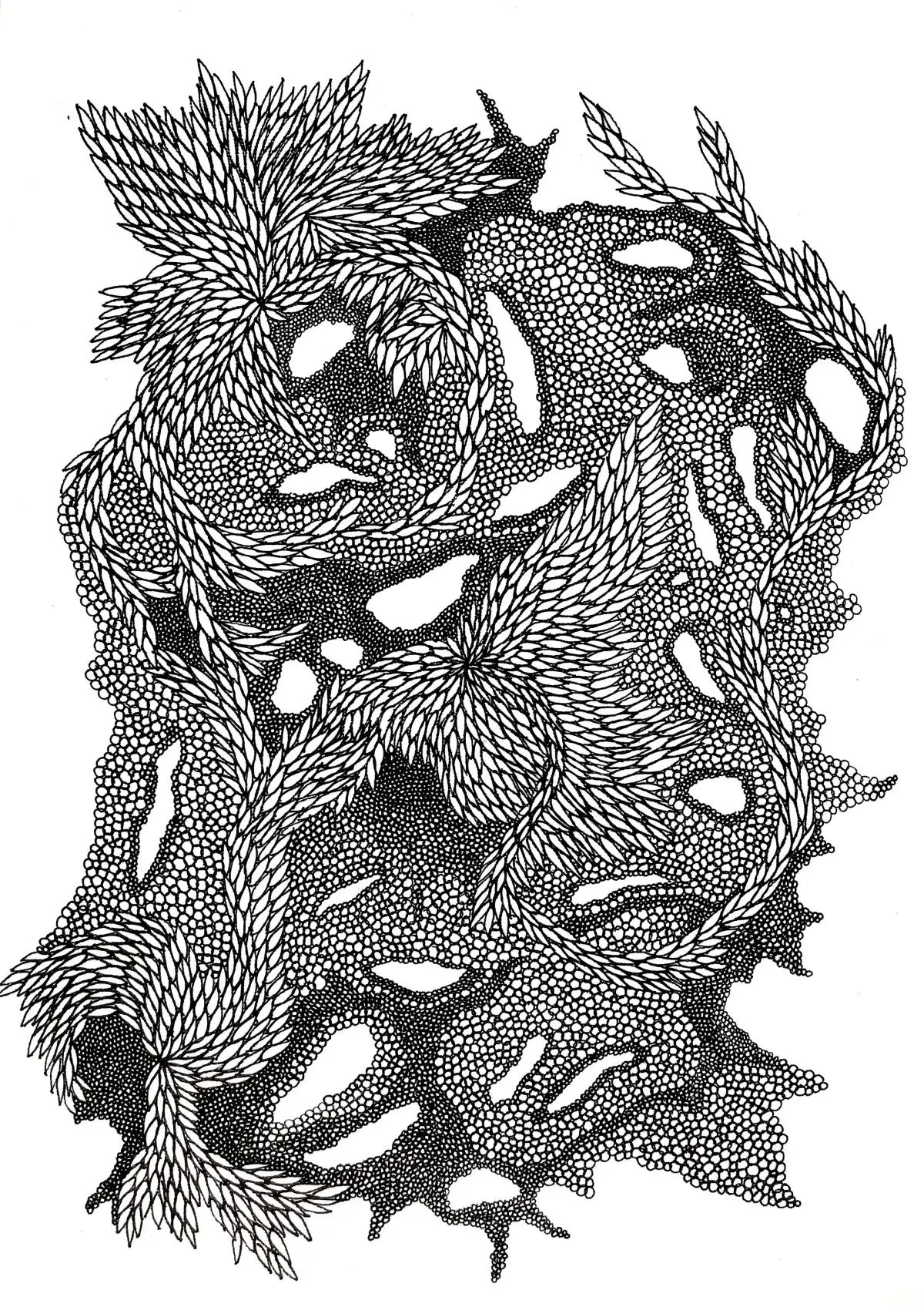 Drawing by Paulina Rizzo.