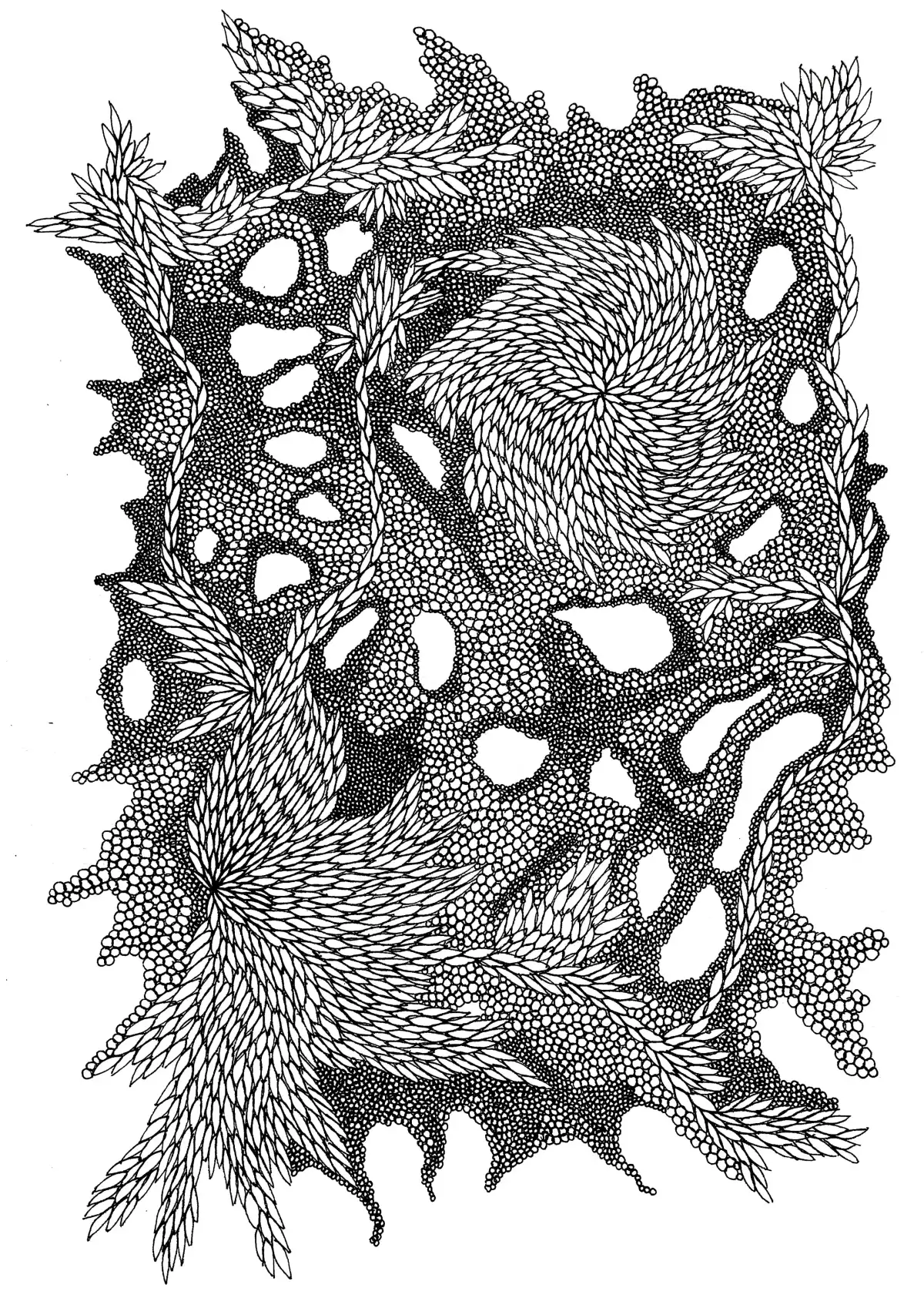 Drawing by Paulina Rizzo.