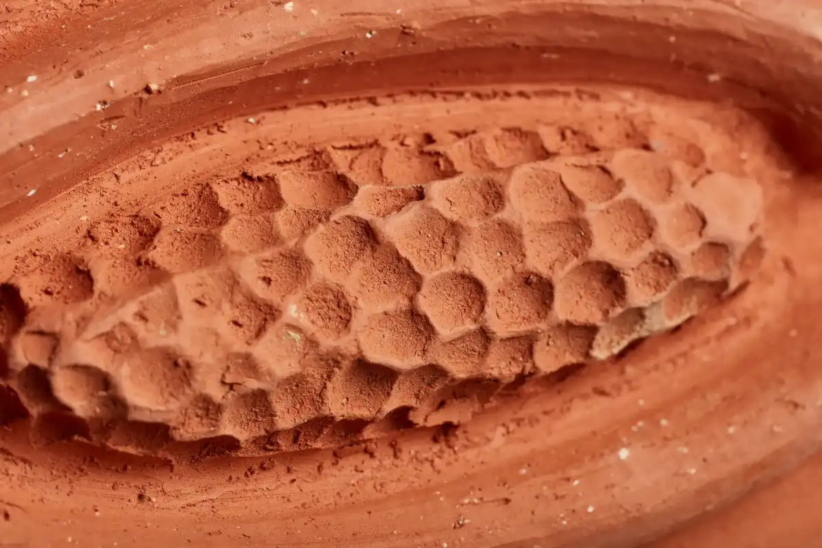 Ceramic sculpture by Paulina Rizzo